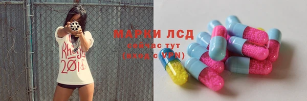 стафф Алексин