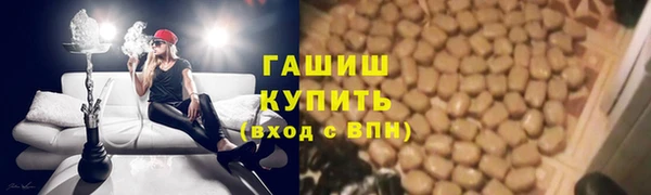 стафф Алексин