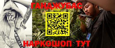 сатива Новодвинск