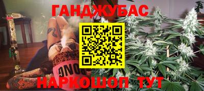 сатива Новодвинск
