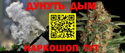 сатива Новодвинск