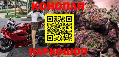 сатива Новодвинск