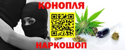 сатива Новодвинск