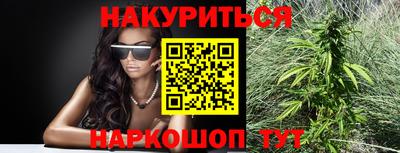 сатива Новодвинск