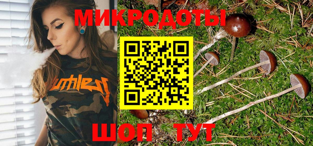 Галлюциногенные грибы мицелий  Вход с VPN  где продают наркотики  Всеволожск 