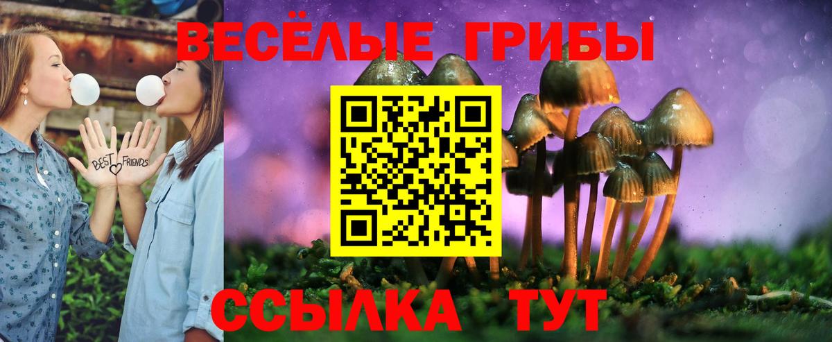 Галлюциногенные грибы GOLDEN TEACHER Всеволожск