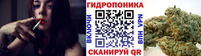 Каннабис OG Kush где найти наркотики Всеволожск